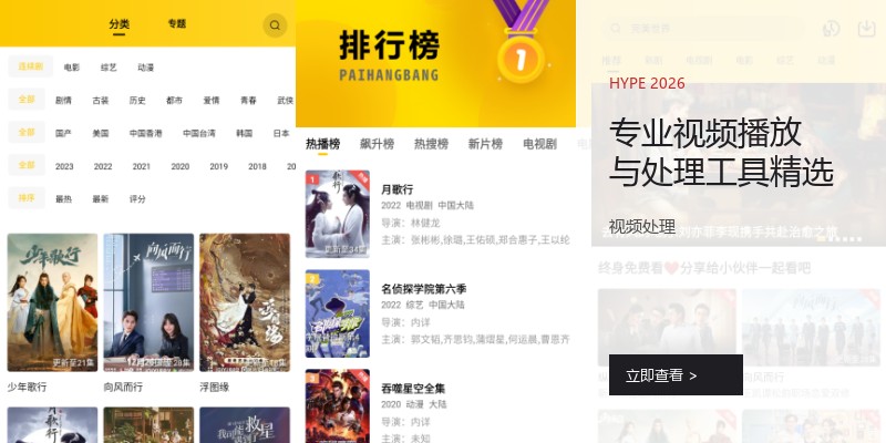 专业视频播放与处理工具精选