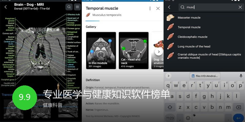 专业医学与健康知识软件榜单