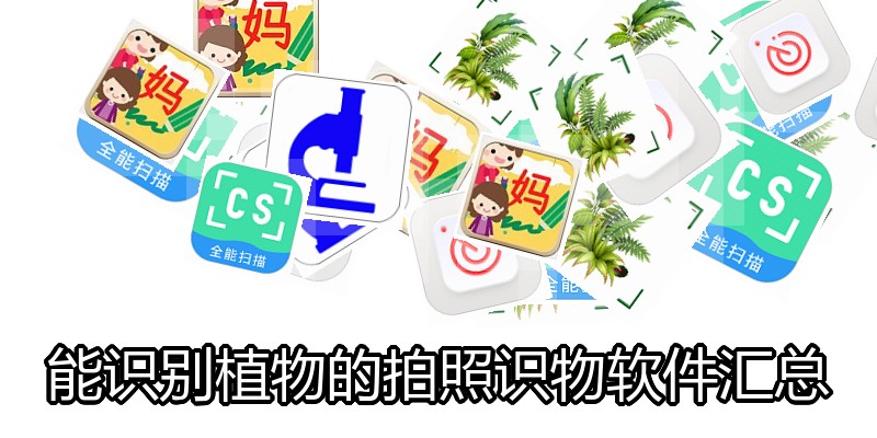 能识别植物的拍照识物软件汇总