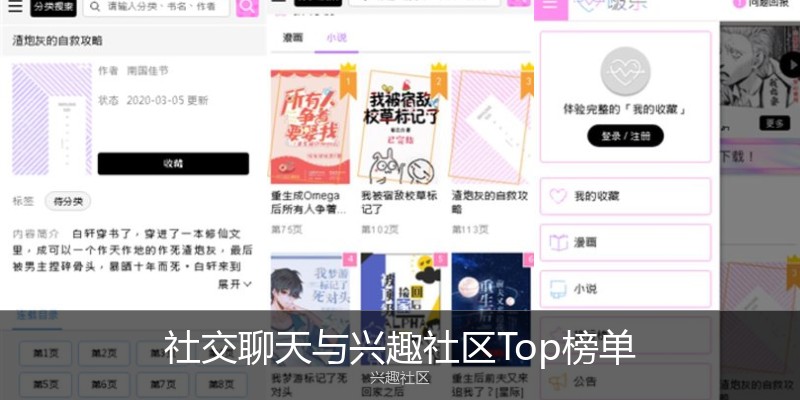 社交聊天与兴趣社区Top榜单