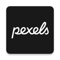 pexels免费视频素材