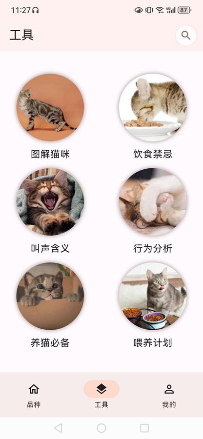 猫品种大全3