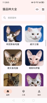 猫品种大全6