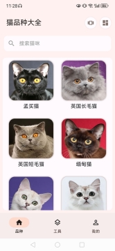 猫品种大全5