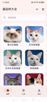猫品种大全7