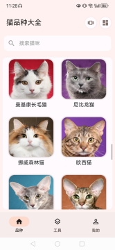 猫品种大全9