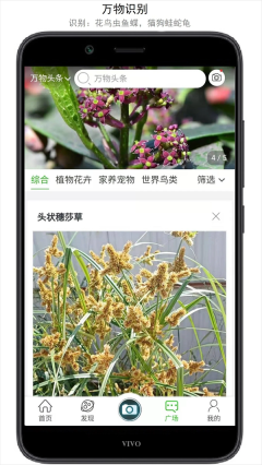 万物志软件3