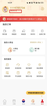 i茅台免费  最新版