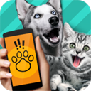 pettranslator动物语言翻译器正版