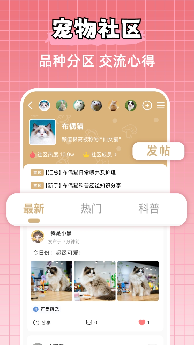 宠物王国最新版