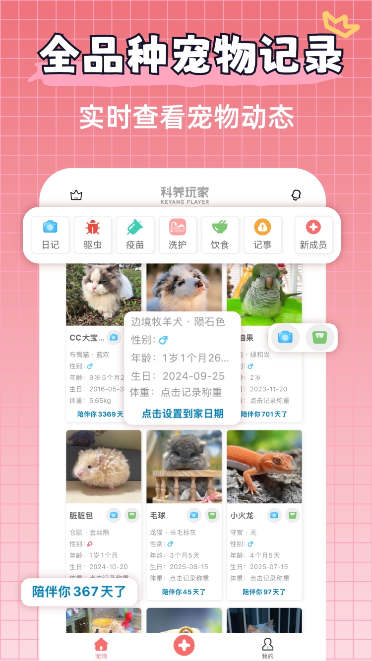 宠物王国最新版
