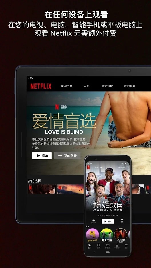Netflix网飞2