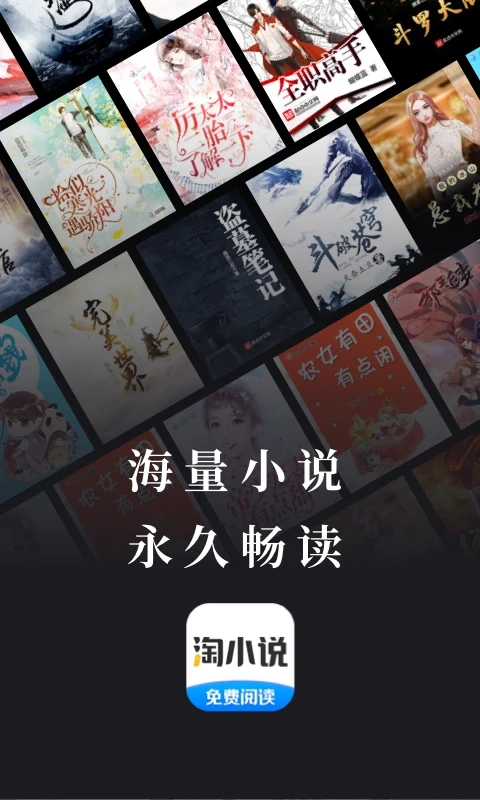 淘小说正版1