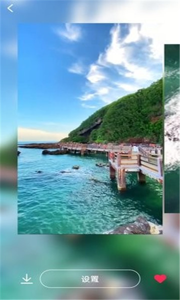 桃桃壁纸 2