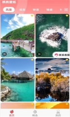 桃桃壁纸 3