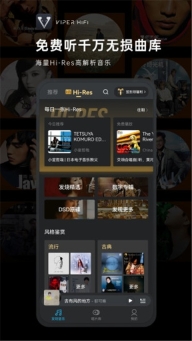 VIPER HiFi正版
