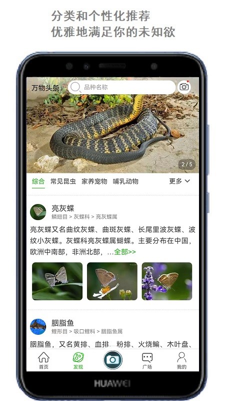 万物志1