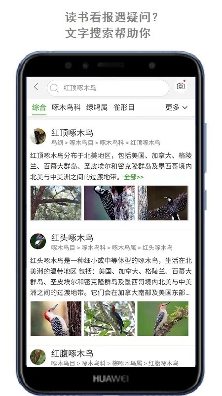 万物志2