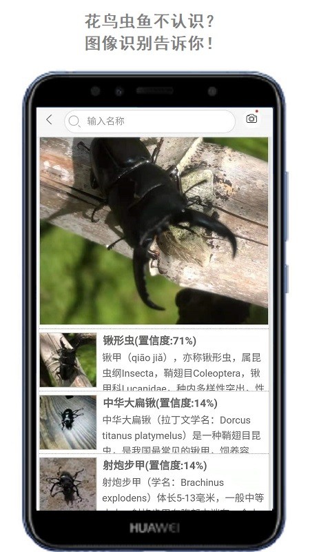 万物志3