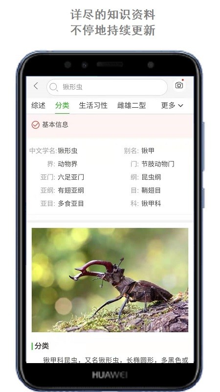 万物志4