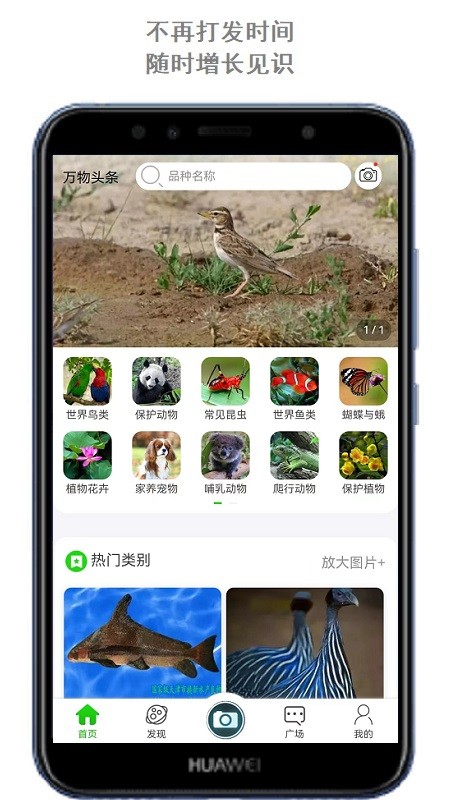 万物志5