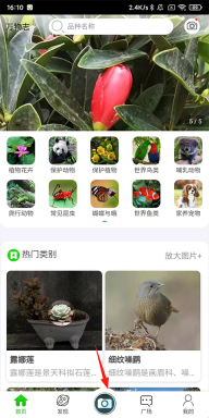 万物志最新下载