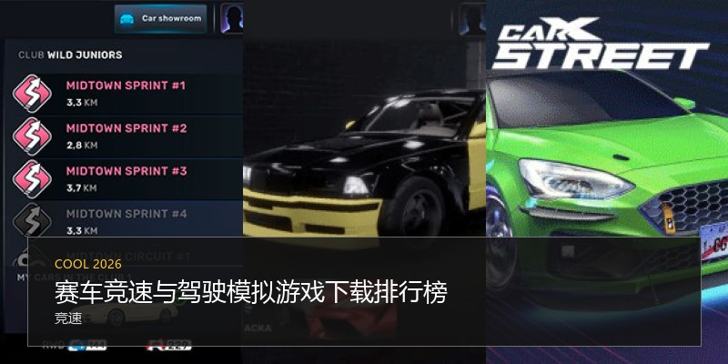 赛车竞速与驾驶模拟游戏下载排行榜