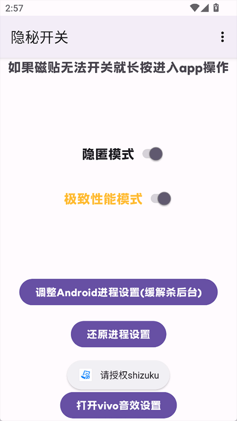 隐秘开关2