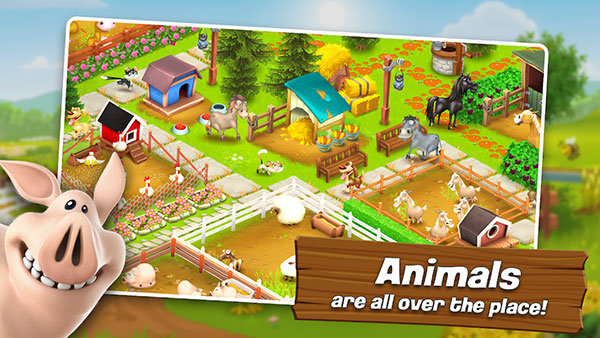 Hay Day3