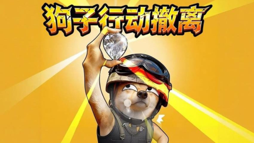 狗子行动撤离