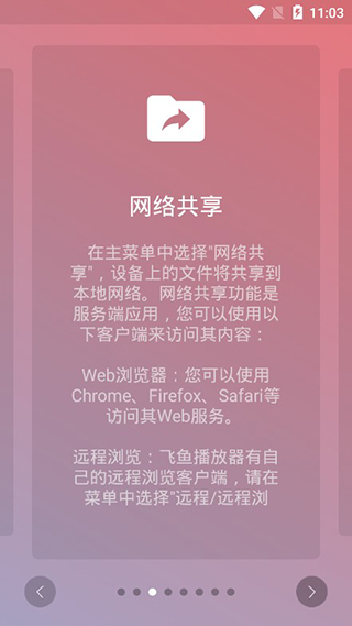 飞鱼播放器