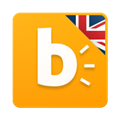 Bright正版
