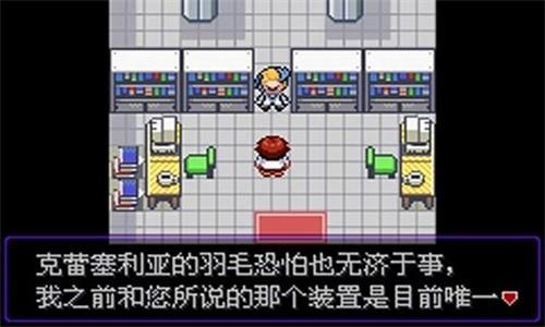 口袋妖怪漆黑的魅影ex+bw