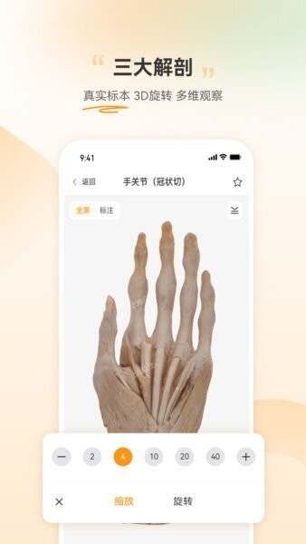 芝士医生5