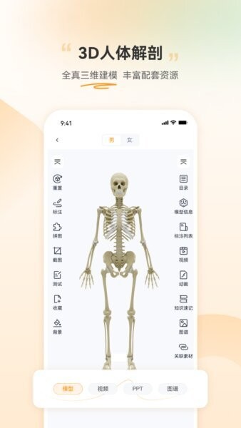 芝士医生手机版下载