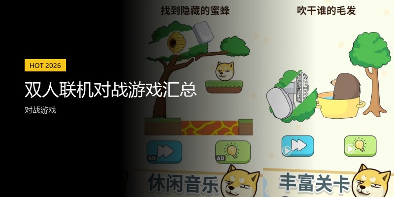 双人联机对战游戏汇总