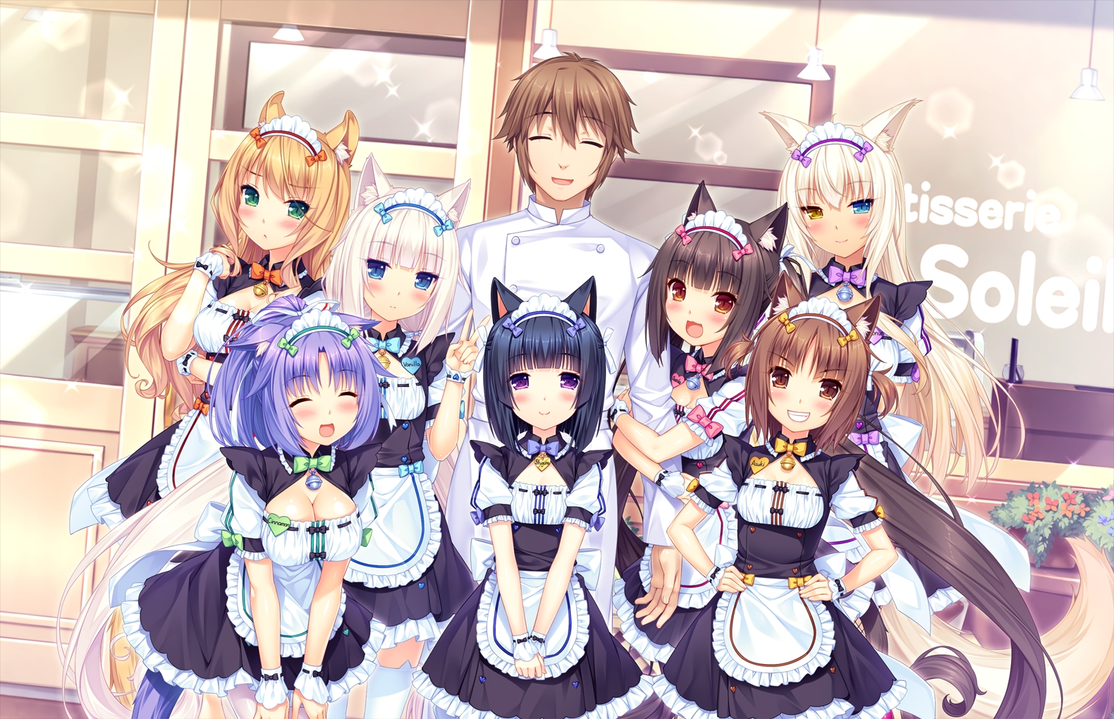猫娘乐园3