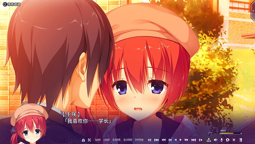 riddlejoker手机版