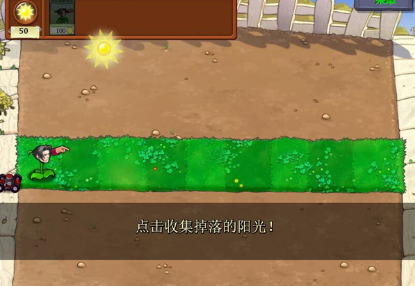 植物大战僵尸神金版