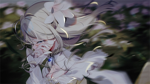 宝石少女