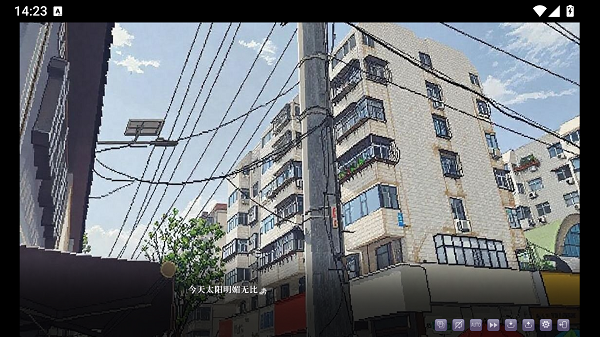 三礼太阳雨后