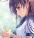Narcissu