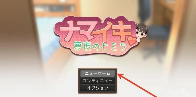 Namaiki汉化版