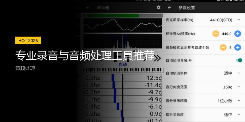 专业录音与音频处理工具推荐