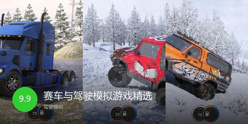 赛车与驾驶模拟游戏精选