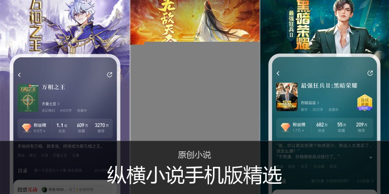 纵横小说手机版精选