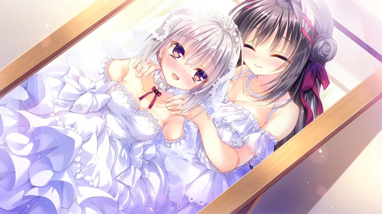 真爱百合