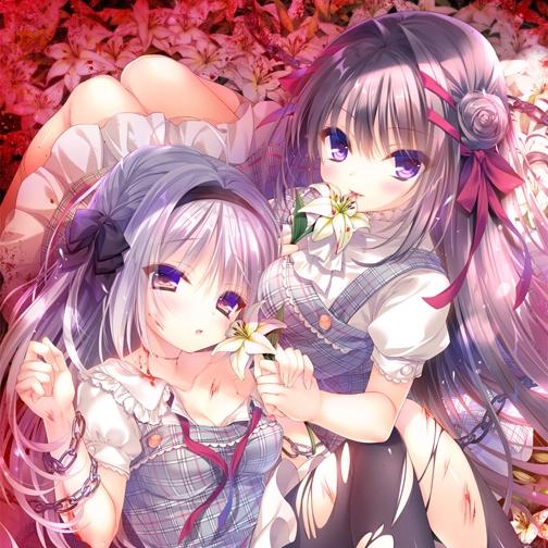 真爱百合