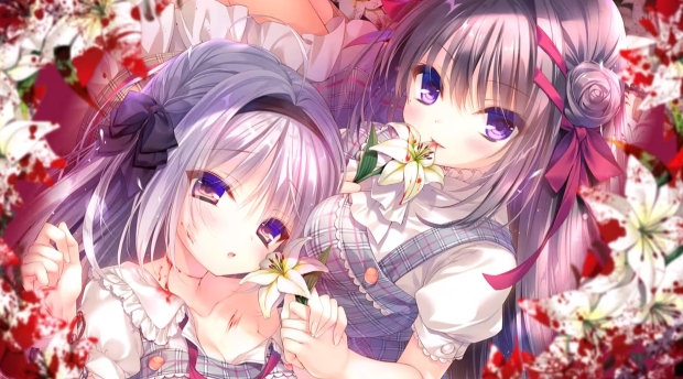真爱百合