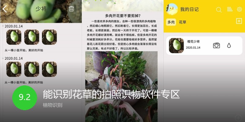 能识别花草的拍照识物软件专区